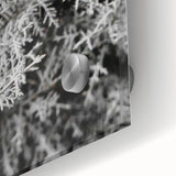 Rustic Wall Art - Frosted Evergreen Branches for Winter Wonderland Decor