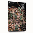 Rustic Wall Art - Green Seedlings in Nature for Farmhouse Nature Decor