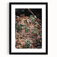 Rustic Wall Art - Green Seedlings in Nature for Farmhouse Nature Decor