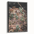 Rustic Wall Art - Green Seedlings in Nature for Farmhouse Nature Decor