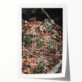 Rustic Wall Art - Green Seedlings in Nature for Farmhouse Nature Decor
