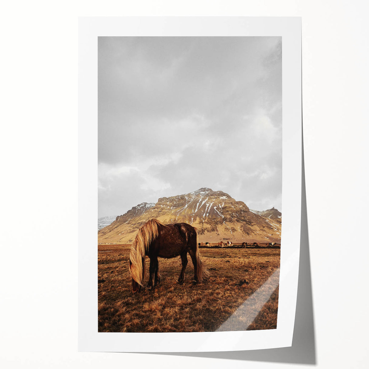 Rustic Wall Art - Wild Horse in Mountain Landscape for Farmhouse Decor