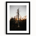 Vintage Rustic Tree Landscape - Farmhouse Wall Art