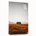 Rustic Landscape Wall Art - Abandoned Farmhouse in Golden Field