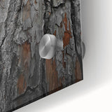 Rustic Tree Bark Texture Wall Art – Nature-Inspired Farmhouse Decor