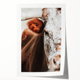 Rustic Cow Close-Up Wall Art – Farmhouse Animal Decor for Cozy Spaces