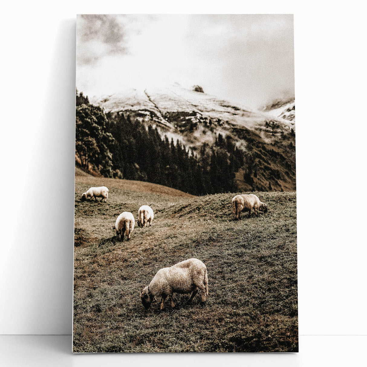 Rustic Sheep in Mountain Landscape – Farmhouse Pastoral Wall Art