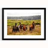 Rustic Wild Horses Wall Art – Majestic Horses Grazing in Open Field