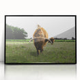 Highland Cattle in Field Rustic Wall Art – Farmhouse Landscape Decor Print