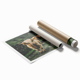 Highland Cows Rustic Wall Art – Farmhouse Nature-Inspired Decor Print
