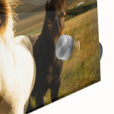 Wild Horses in Countryside Rustic Wall Art – Farmhouse Nature Decor Print