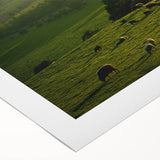 Rustic Wall Art - Sunset Farmhouse Landscape with Grazing Sheep