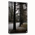 Rustic Winter Forest Wall Art | Farmhouse Nature Scene for Cozy Decor