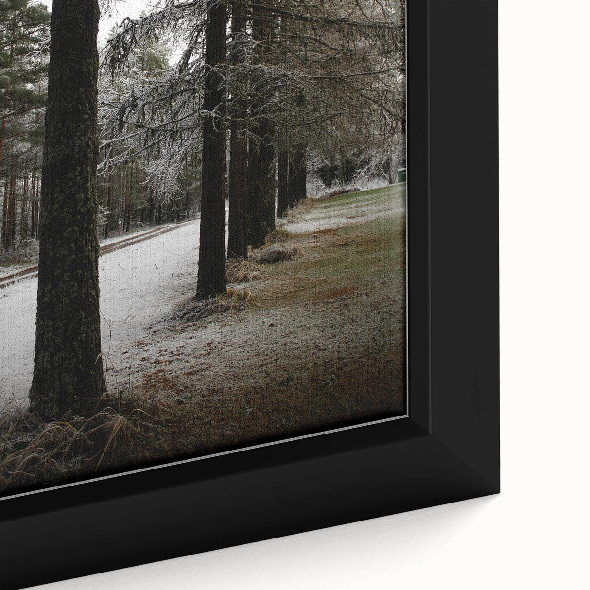 Rustic Winter Forest Wall Art | Farmhouse Nature Scene for Cozy Decor