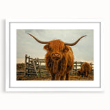 Highland Cow Rustic Wall Art - Farmhouse Decor for Cozy Country Homes