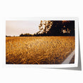 Golden Wheat Field Rustic Wall Art - Farmhouse Nature Decor for Homes