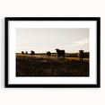 Rustic Cattle Herd Wall Art - Farmhouse Country Landscape Decor