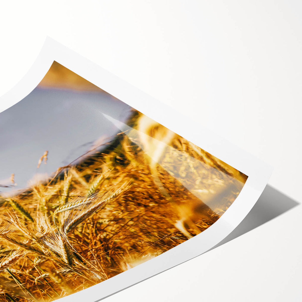 Golden Wheat Field Rustic Wall Art - Farmhouse Decor for Cozy Spaces