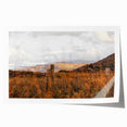 Rustic Fence in Golden Field Wall Art - Farmhouse Country Landscape Decor