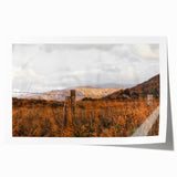 Rustic Fence in Golden Field Wall Art - Farmhouse Country Landscape Decor