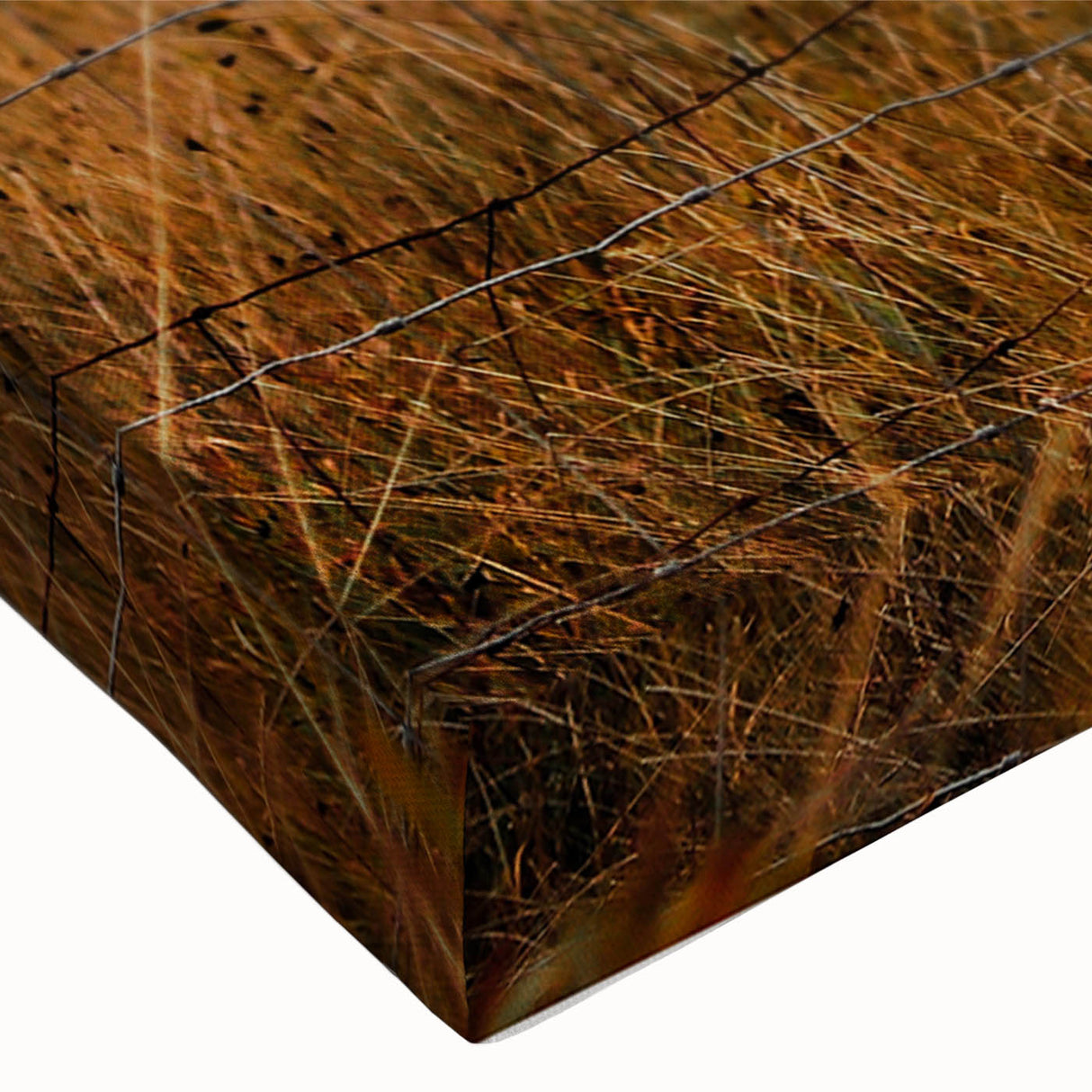 Rustic Fence in Golden Field Wall Art - Farmhouse Country Landscape Decor