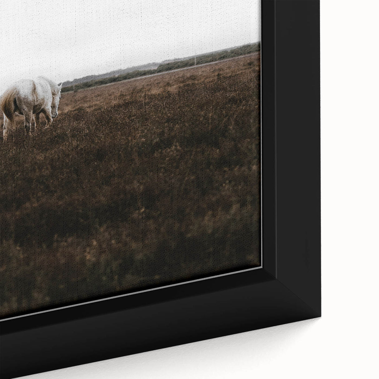 Serene White Horse - Rustic Landscape Wall Art