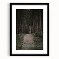 Rustic Wall Art - Forest Path with Tall Pines for Farmhouse Decor
