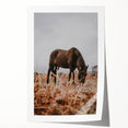 Rustic Horse Grazing in Field Wall Art – Farmhouse Nature Decor Print