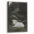 Rustic Cow in Field Wall Art – Farmhouse Animal Nature Scene Decor Print