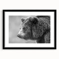 Framed black bear wall art featuring a detailed illustration, showcasing vibrant colors and a sleek black mat, perfect for nature-themed home decor.