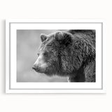 Framed wall art featuring a striking black bear design, set against a sleek white mat, ideal for nature-themed home decor. Perfect for animal lovers and rustic interiors.