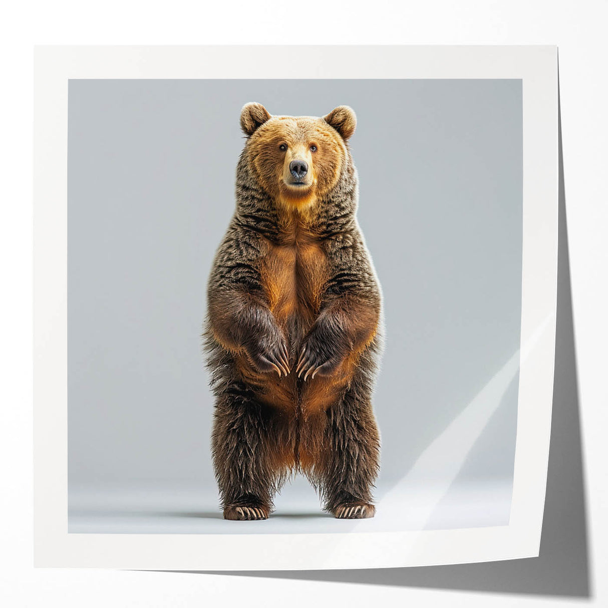 Black bear wall art print showcasing a striking design with vibrant colors and intricate details, ideal for nature-themed home decor. Perfect for wildlife enthusiasts.