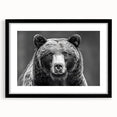 Black bear wall art framed print showcasing a striking black bear design with a matte finish, perfect for enhancing rustic home decor or nature-themed spaces.