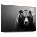 Black bear wall art design displayed in an acrylic glass frame, showcasing intricate details and vibrant colors, perfect for nature-themed home decor.