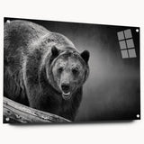 Black bear wall art design displayed in a sleek acrylic frame, showcasing intricate details and vibrant colors, ideal for nature enthusiasts and home decor.