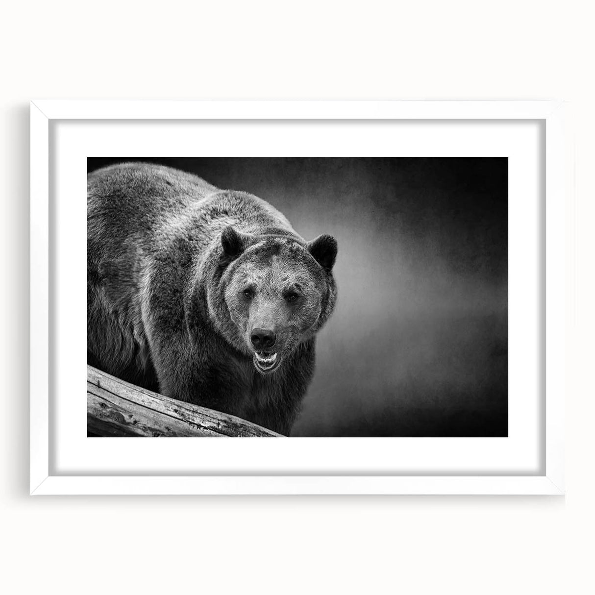 Framed wall art featuring a striking black bear design, set against a white mat for contrast, showcasing intricate details and textures perfect for nature-themed decor.