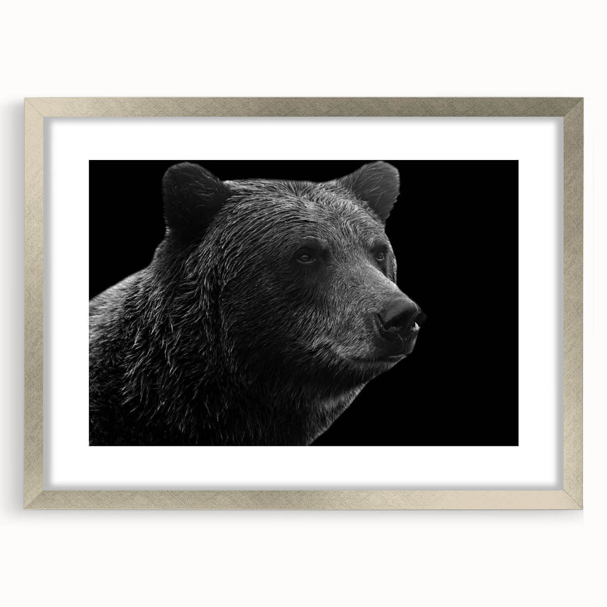 Framed wall art featuring a striking black bear design, showcased in a sleek silver frame with a mat. Ideal for wildlife enthusiasts and home decor.
