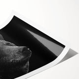 Black bear wall art print showcasing a detailed and vibrant design, perfect for nature enthusiasts, rolled and ready for framing, emphasizing wildlife decor.