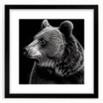 Black bear wall art framed in a sleek black frame with a white mat, showcasing a striking black bear design. Perfect for nature enthusiasts and home decor.