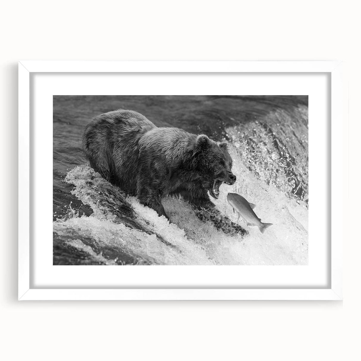 Black bear wall art design framed with a white mat, showcasing a detailed illustration of a bear against a minimalist background, ideal for enhancing home decor.