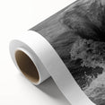 Black bear wall art design on rolled canvas, showcasing intricate details and textures, perfect for nature-themed decor or wildlife enthusiasts. Ideal for enhancing home interiors with a touch of wilderness.