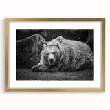 Black bear wall art frame featuring a gold mat and sleek design, showcasing intricate details and textures, perfect for nature-themed decor.
