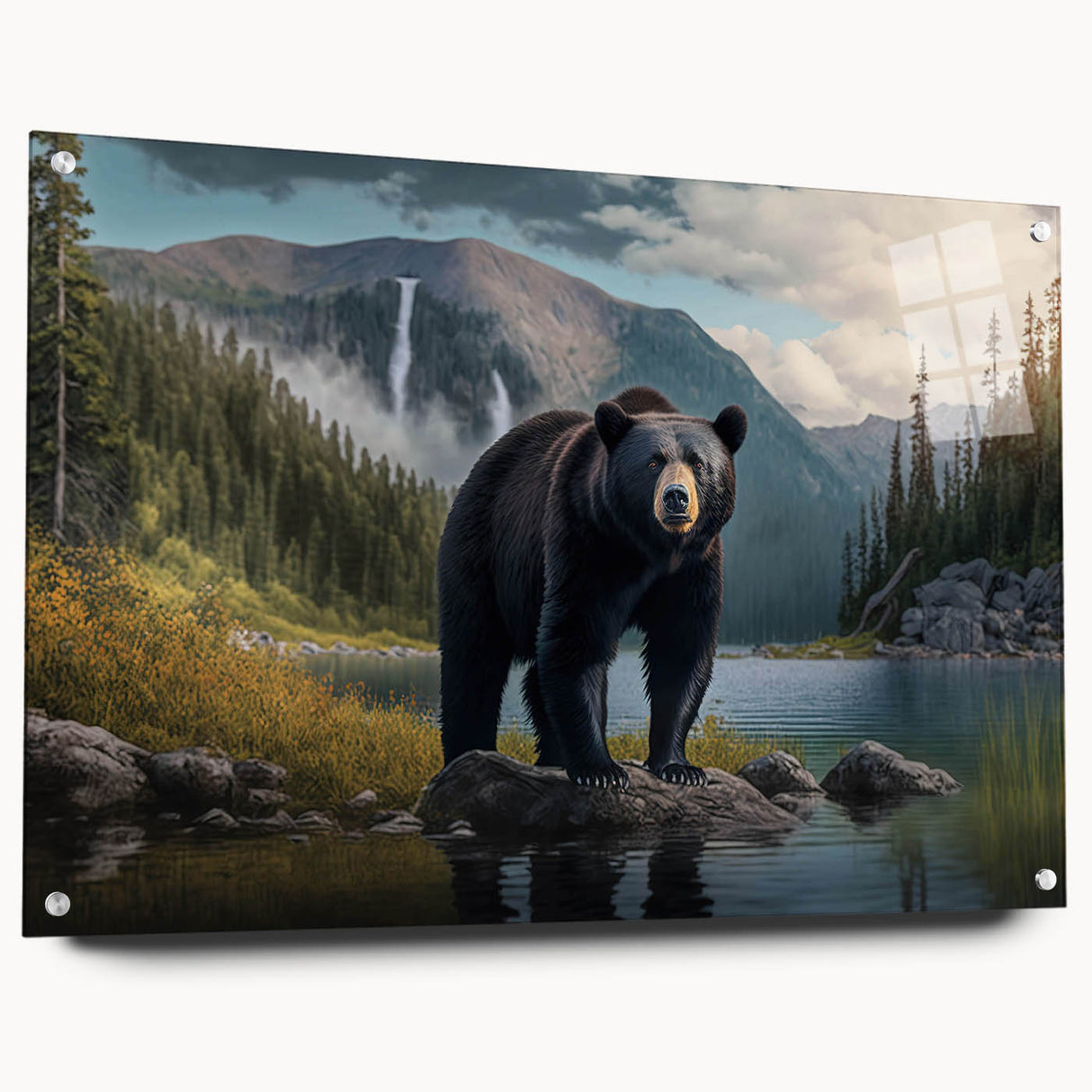 Black bear wall art collection displayed in acrylic glass with a side view, showcasing intricate design details and modern aesthetics, perfect for nature enthusiasts.