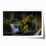 Black bear wall art print featuring intricate design details, showcasing natural textures and vibrant colors, ideal for wildlife enthusiasts and home decor lovers.