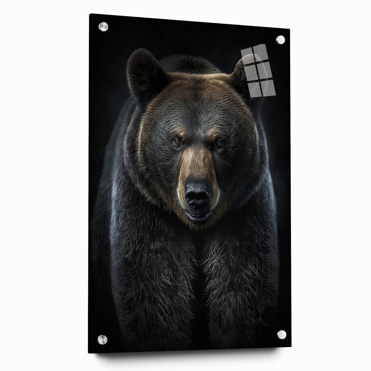 Close-up of a black bear design wall art piece, showcasing intricate details and vibrant colors, mounted on acrylic glass with visible pin attachments, ideal for nature-themed decor.