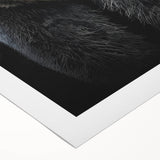 Black bear wall art design on rolled canvas, showcasing intricate details and vibrant colors, perfect for nature enthusiasts and home decor. Packaged securely for safe delivery.