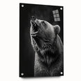 Black bear wall art in a contemporary acrylic glass frame, showcasing intricate design details and vibrant colors, ideal for nature enthusiasts and home decor.