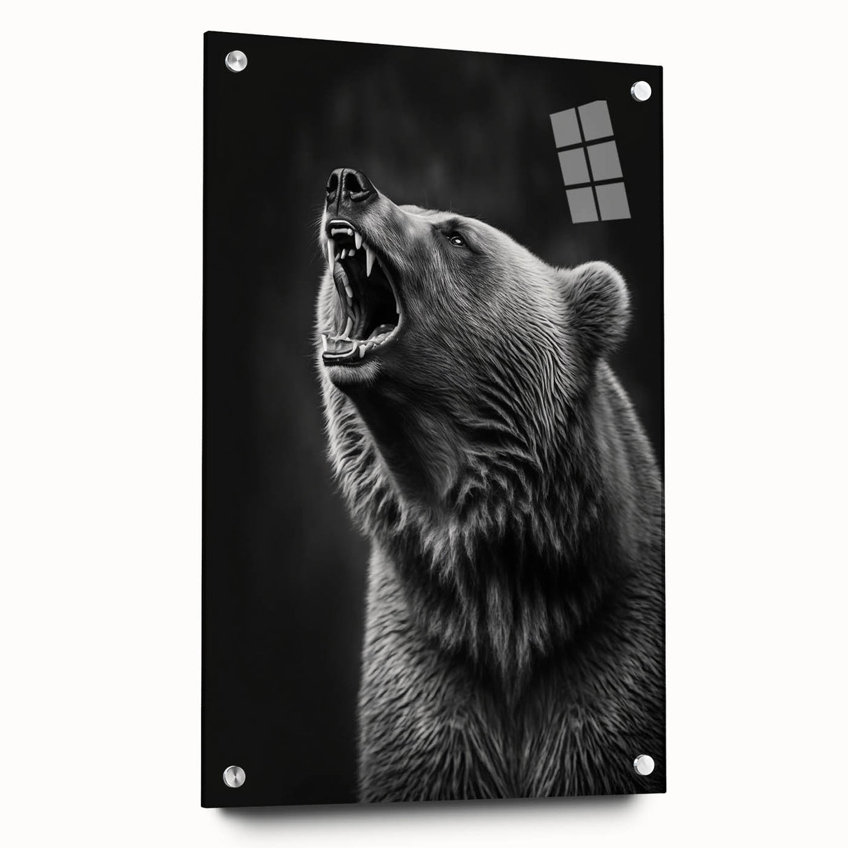 Black bear wall art in a contemporary acrylic glass frame, showcasing intricate design details and vibrant colors, ideal for nature enthusiasts and home decor.