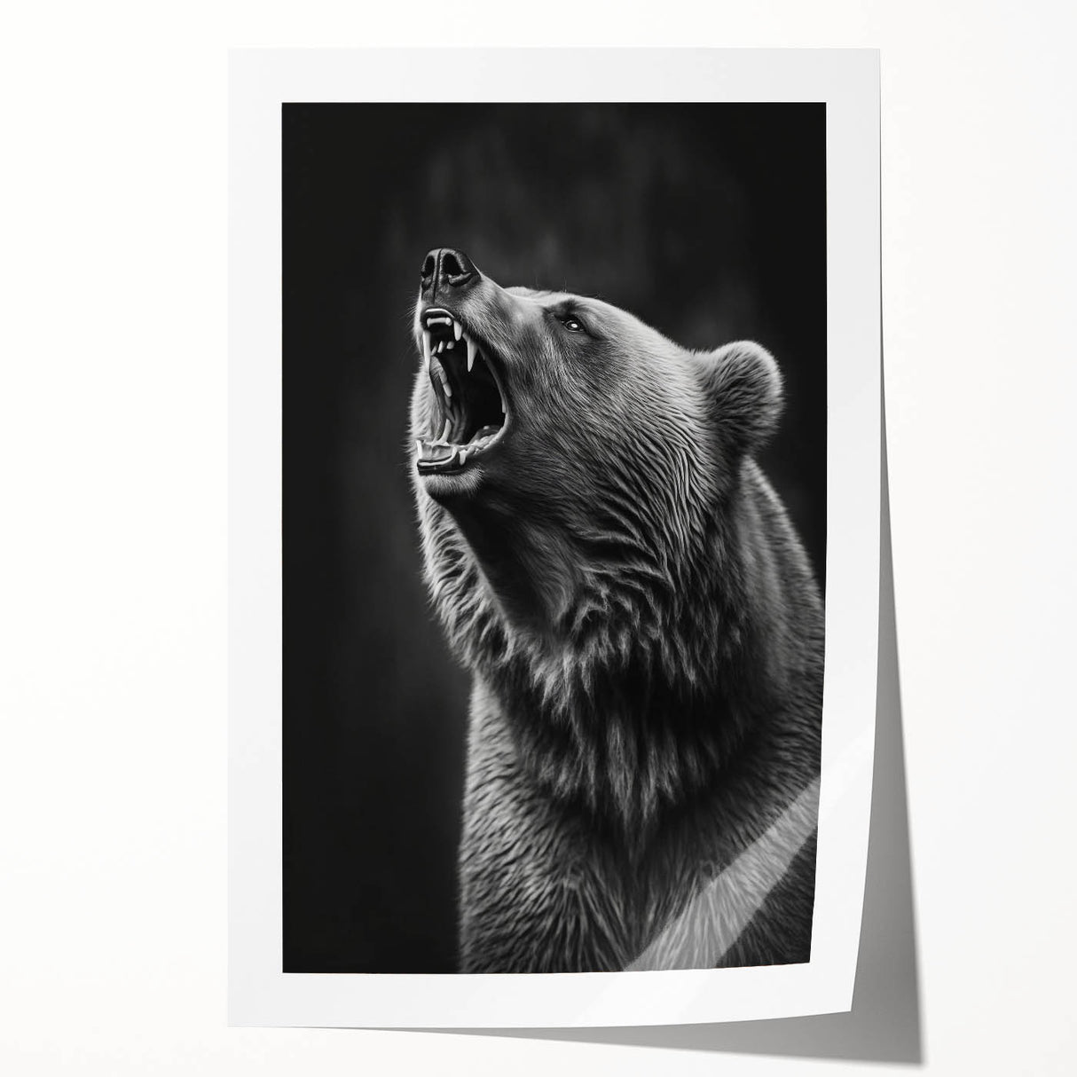 Black bear wall art design showcasing a striking illustration of a majestic black bear in a natural setting, perfect for nature enthusiasts and home decor. This rolled print features vibrant colors and intricate details, ideal for adding a rustic touch to any space.