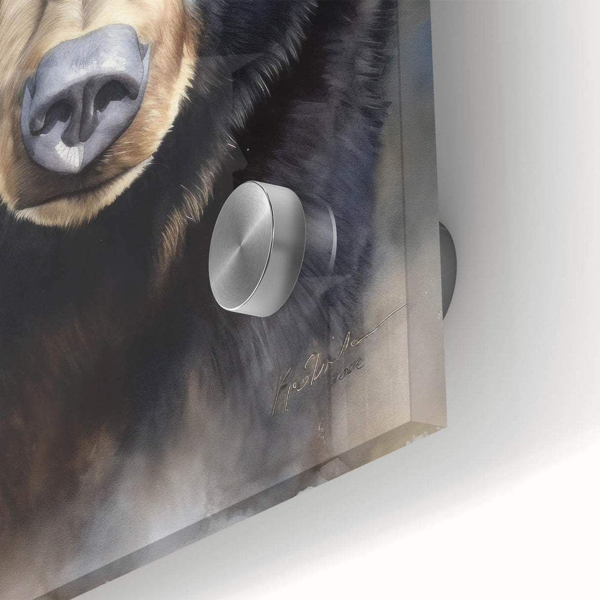 Close-up view of a black bear wall art design on acrylic glass, showcasing intricate details and vibrant colors, perfect for nature-themed decor in modern interiors.